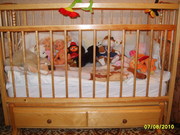 детская кроватка с матрасиком